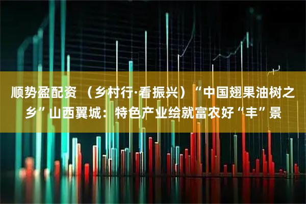 顺势盈配资 （乡村行·看振兴）“中国翅果油树之乡”山西翼城：特色产业绘就富农好“丰”景