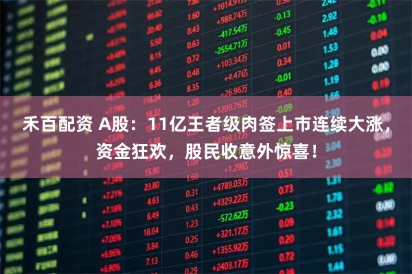 禾百配资 A股：11亿王者级肉签上市连续大涨，资金狂欢，股民收意外惊喜！